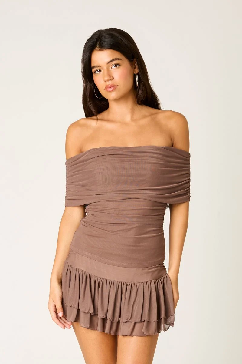 Off Shoulder Mesh Top - guttulla