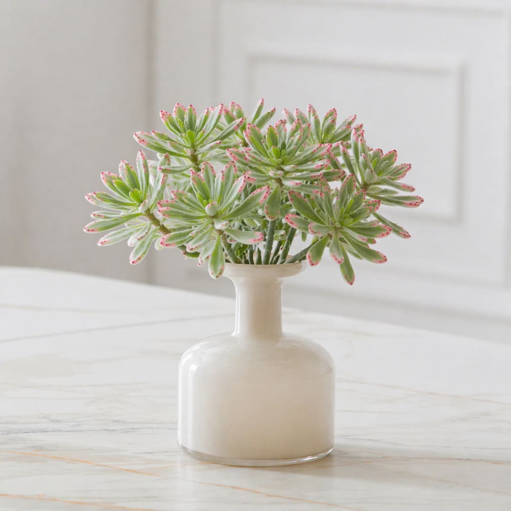 Piquet de succulente panda artificielle verte h24
