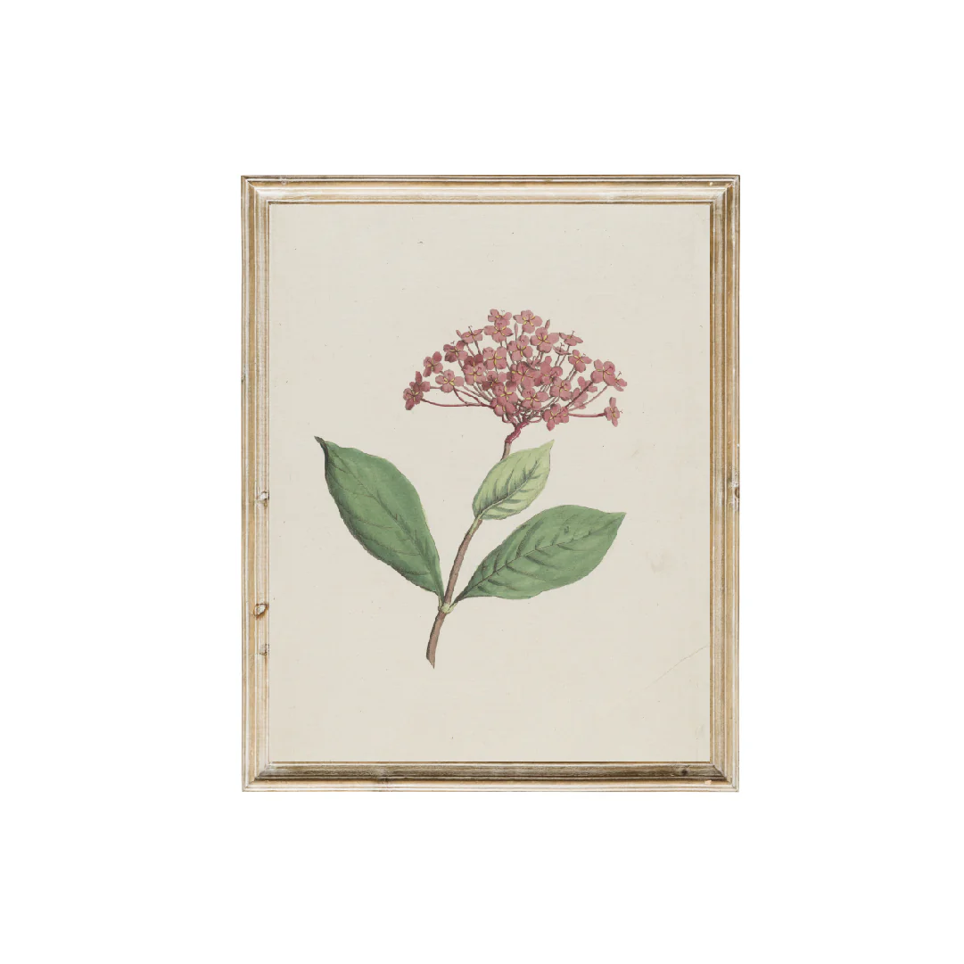 Vintage Floral Print | 57