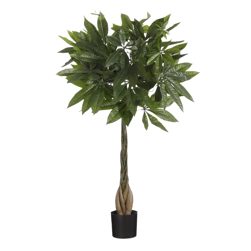 Pachira - Plante artificielle vert polyester h80xl60xl60cm