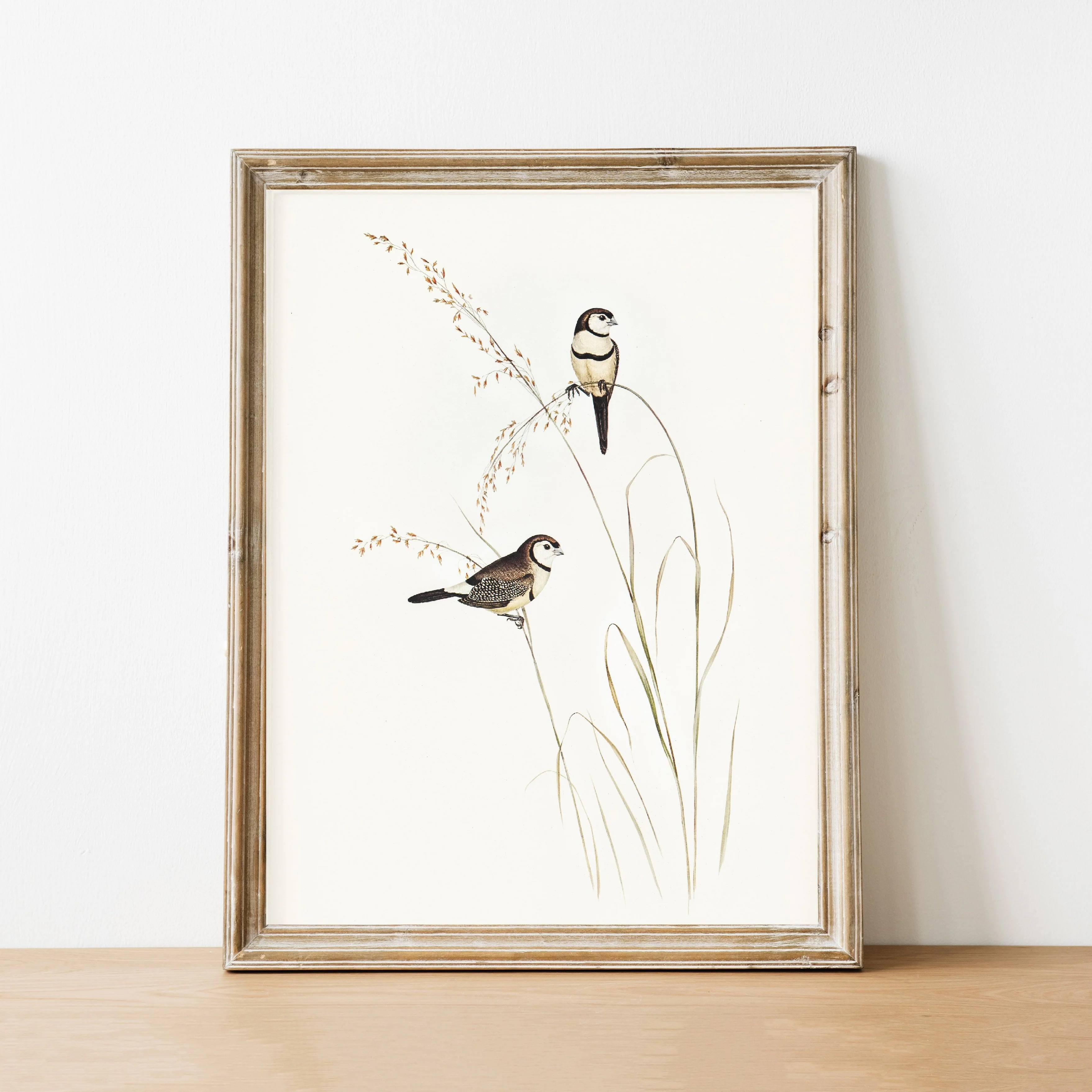 Bird Duo Vintage Print