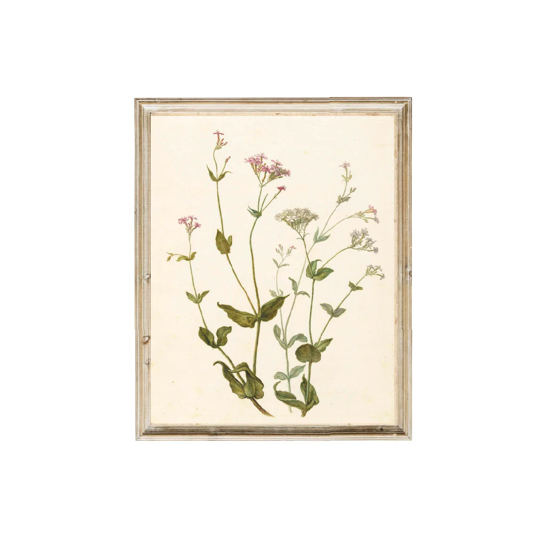 Wildflower Vintage Print