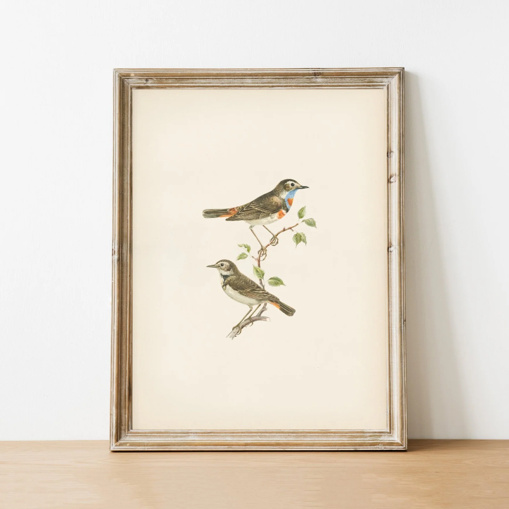Birds Vintage Print