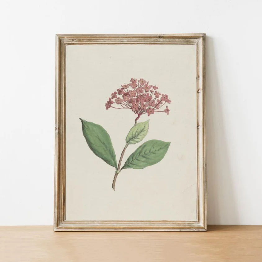 Vintage Floral Print | 57