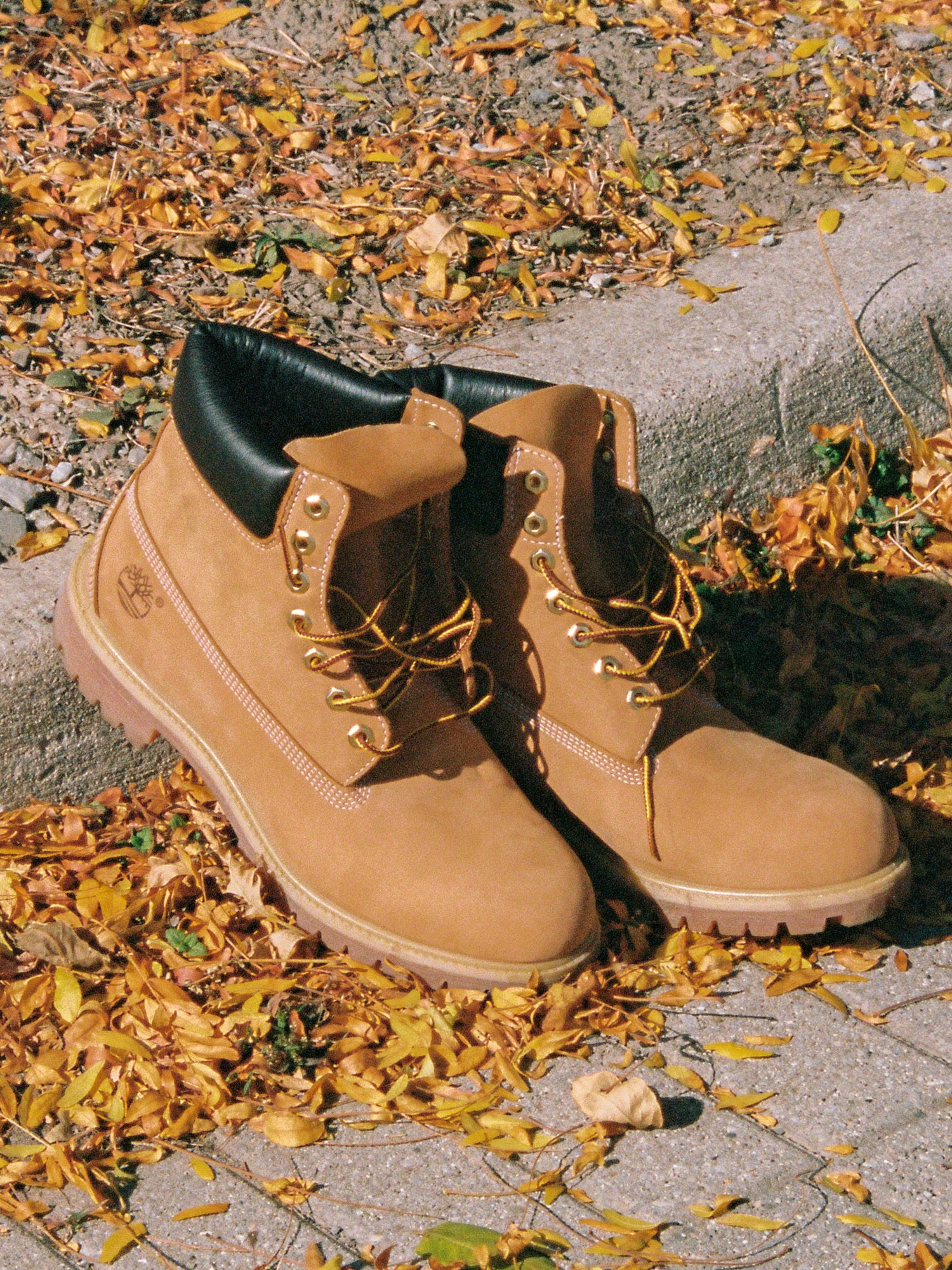 NMMENS TIMBERLAND ICON 6