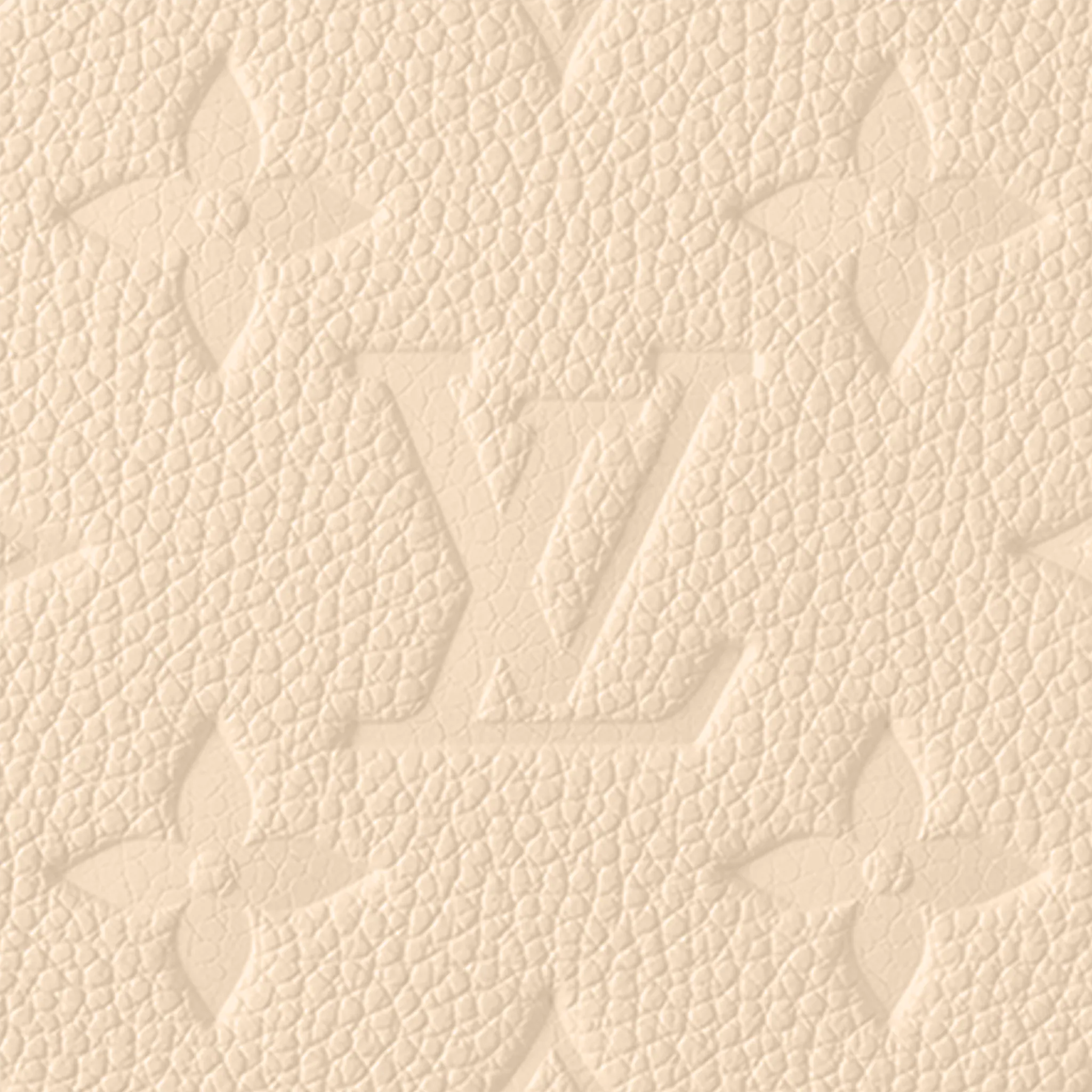 NMEasy Pouch On Strap