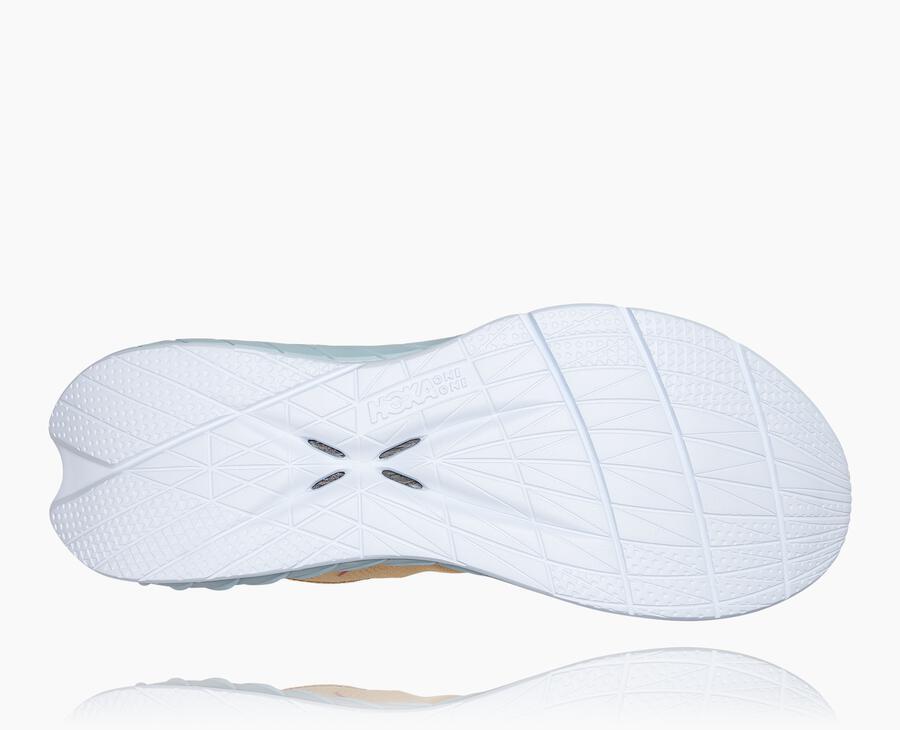 NMWomen's Carbon X 2