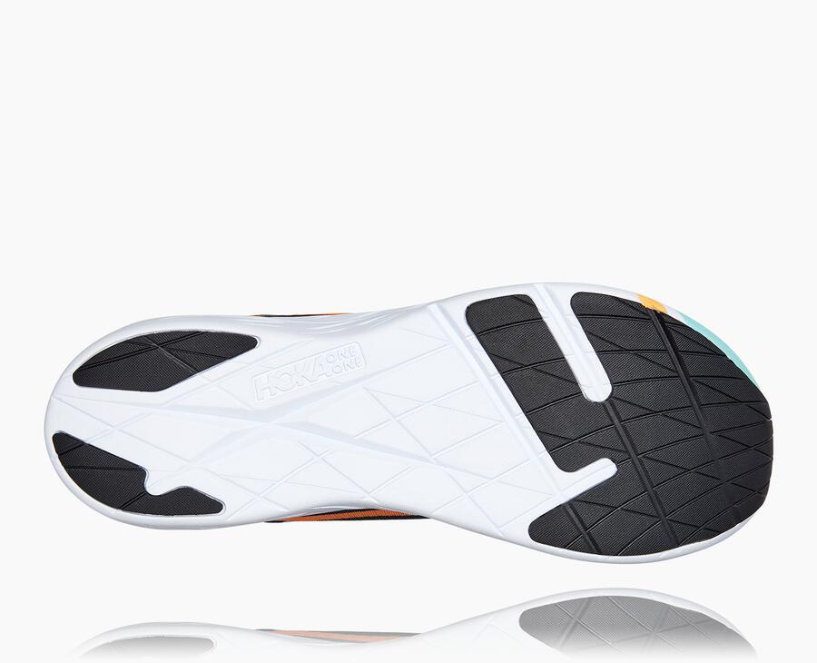 NMAll Gender Rocket X