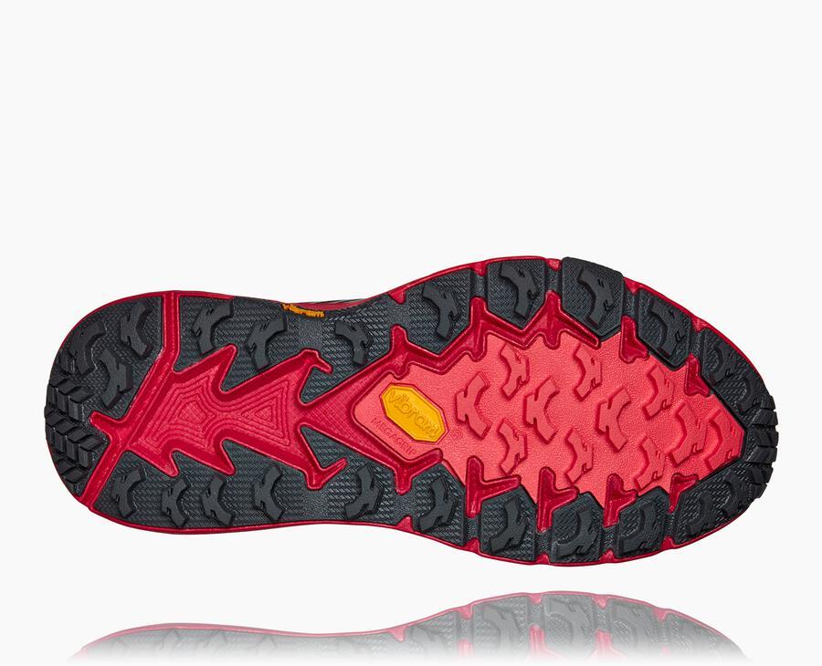 NMWomen's Speedgoat 4