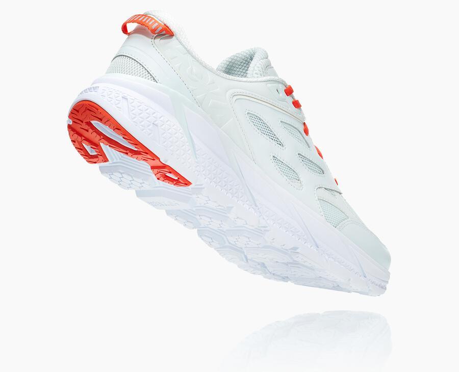 NMAll Gender Clifton L