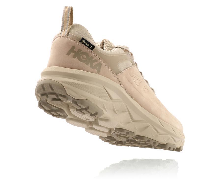 NMMen's Challenger Low GORE-TEX