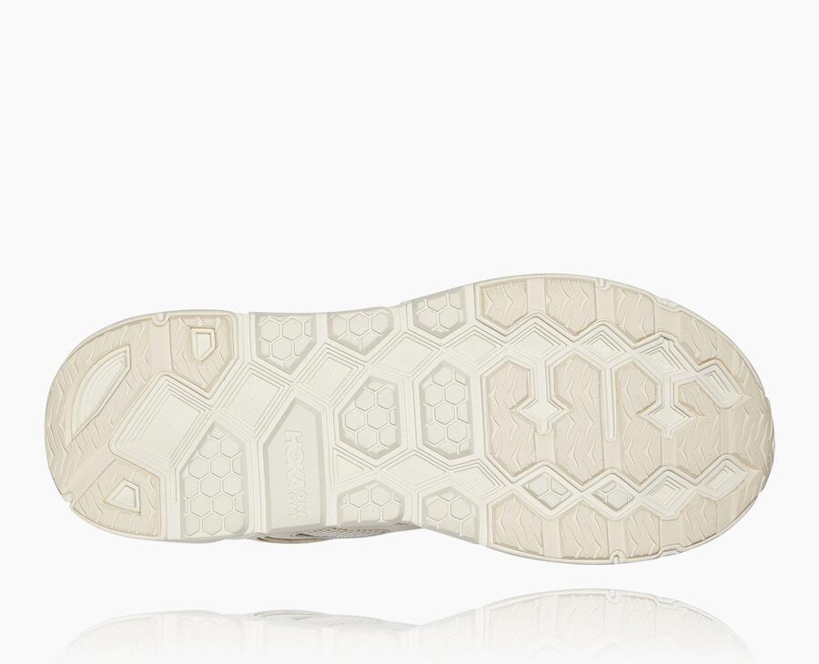 NMAll Gender Clifton L