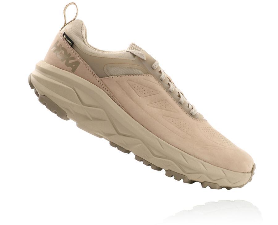 NMMen's Challenger Low GORE-TEX