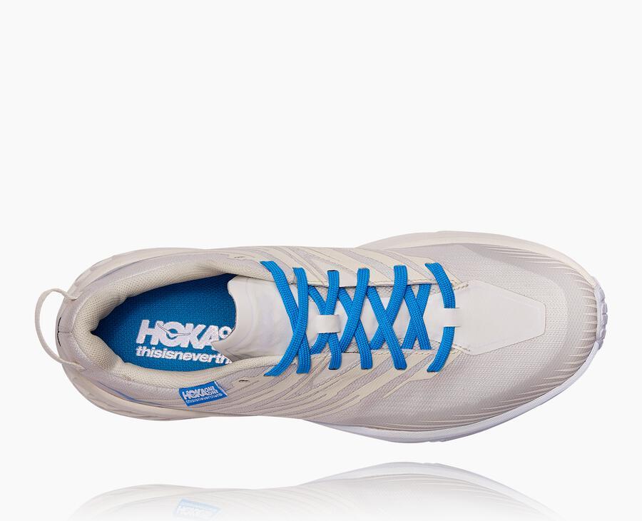NMAll Gender Hoka X Tint Speedgoat 4