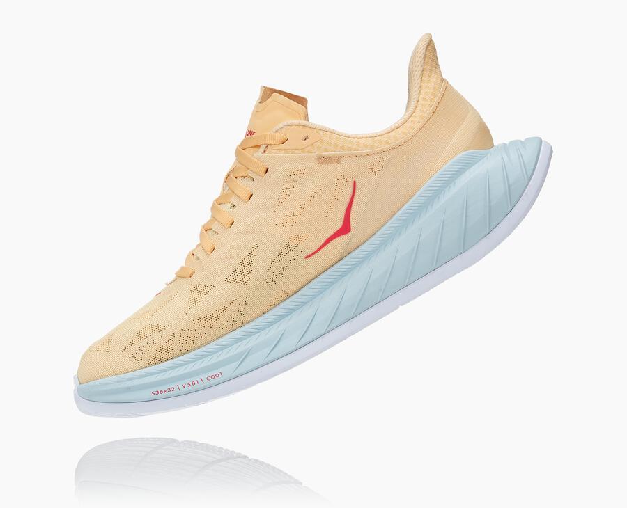 NMWomen's Carbon X 2