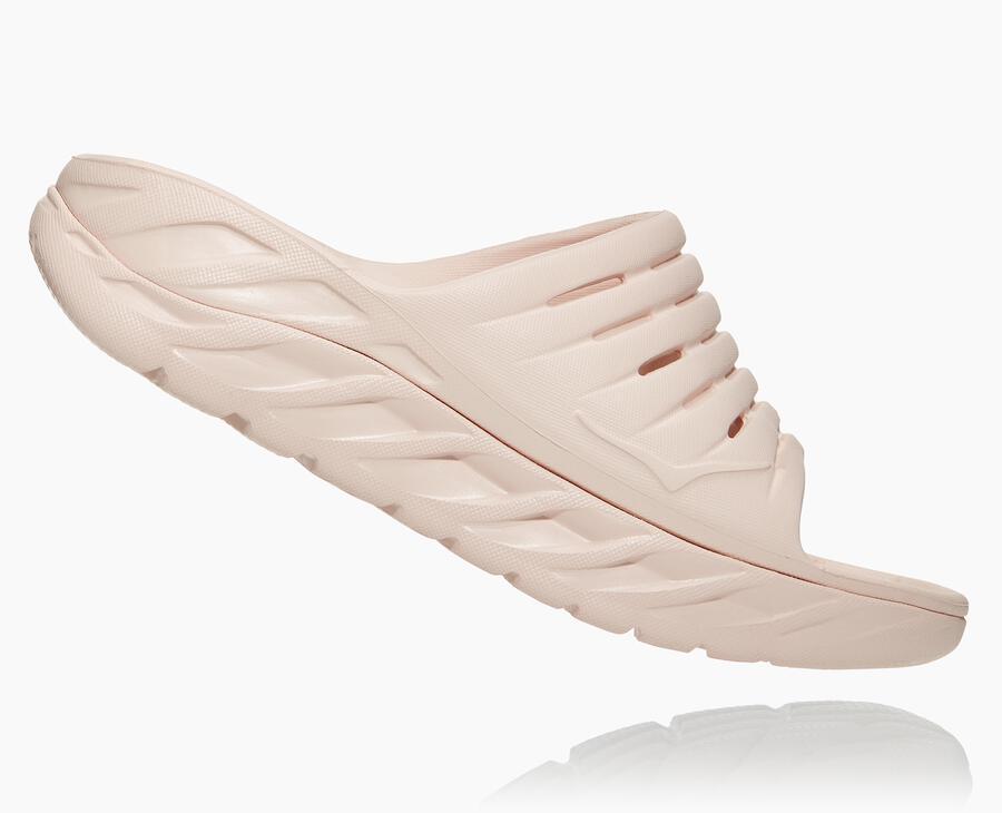 NMWomen's ORA Recovery Slide