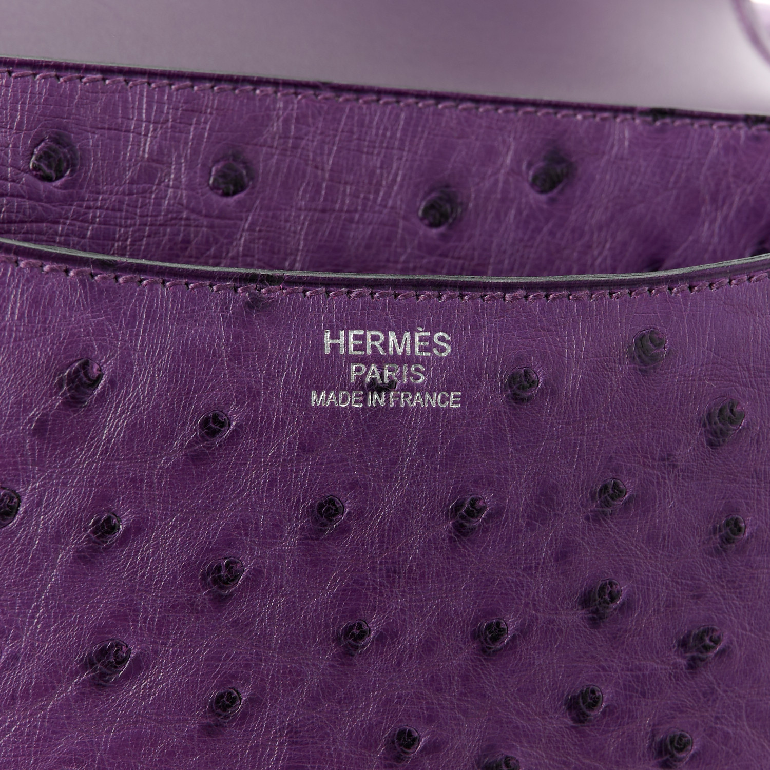 NMOstrich Constance 24 Violine