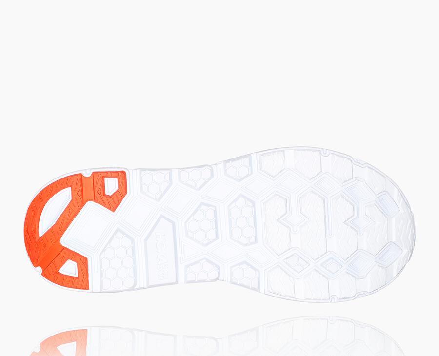 NMAll Gender Clifton L