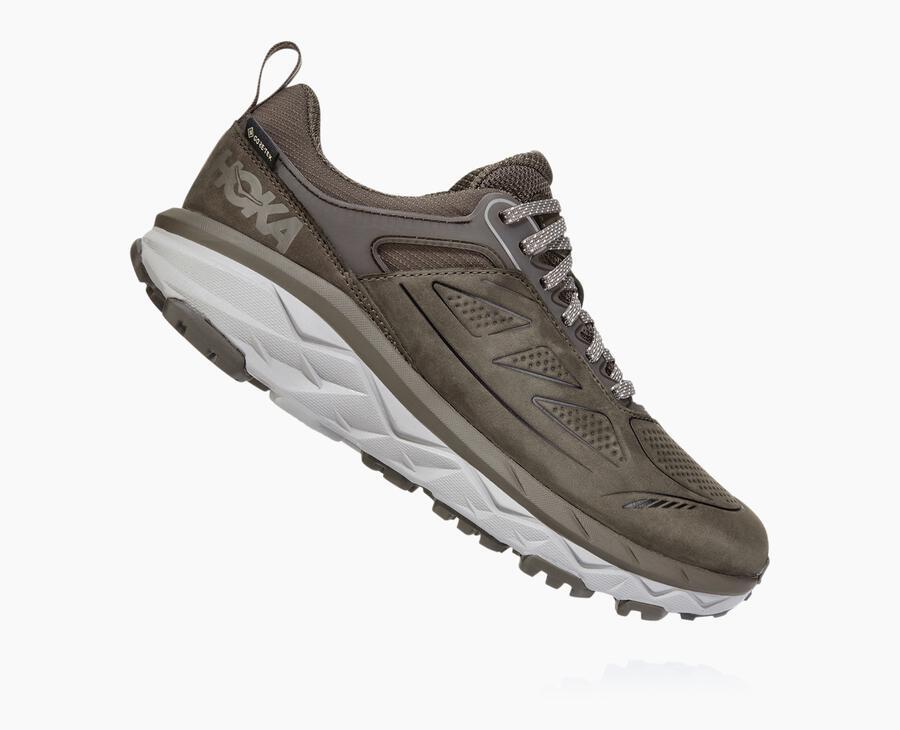 NMWomen's Challenger Low GORE-TEX