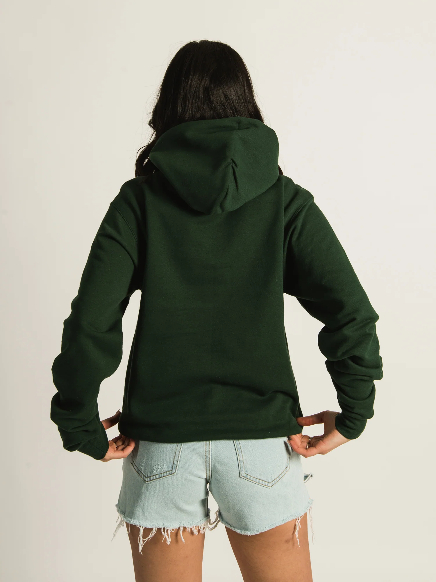 NMCHAMPION NOTRE DAME PULLOVER HOODIE