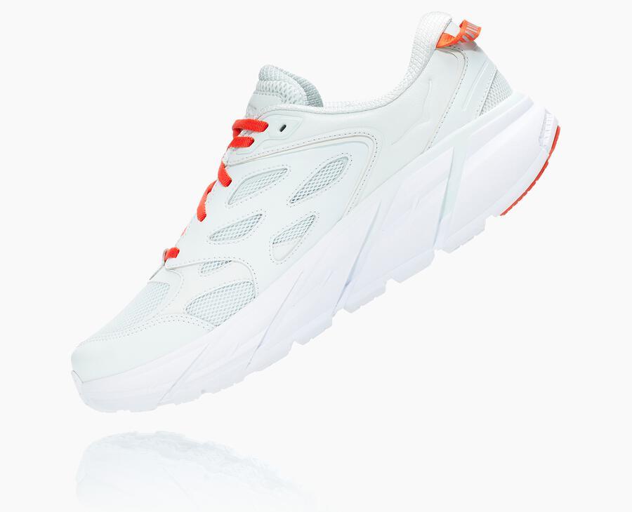 NMAll Gender Clifton L