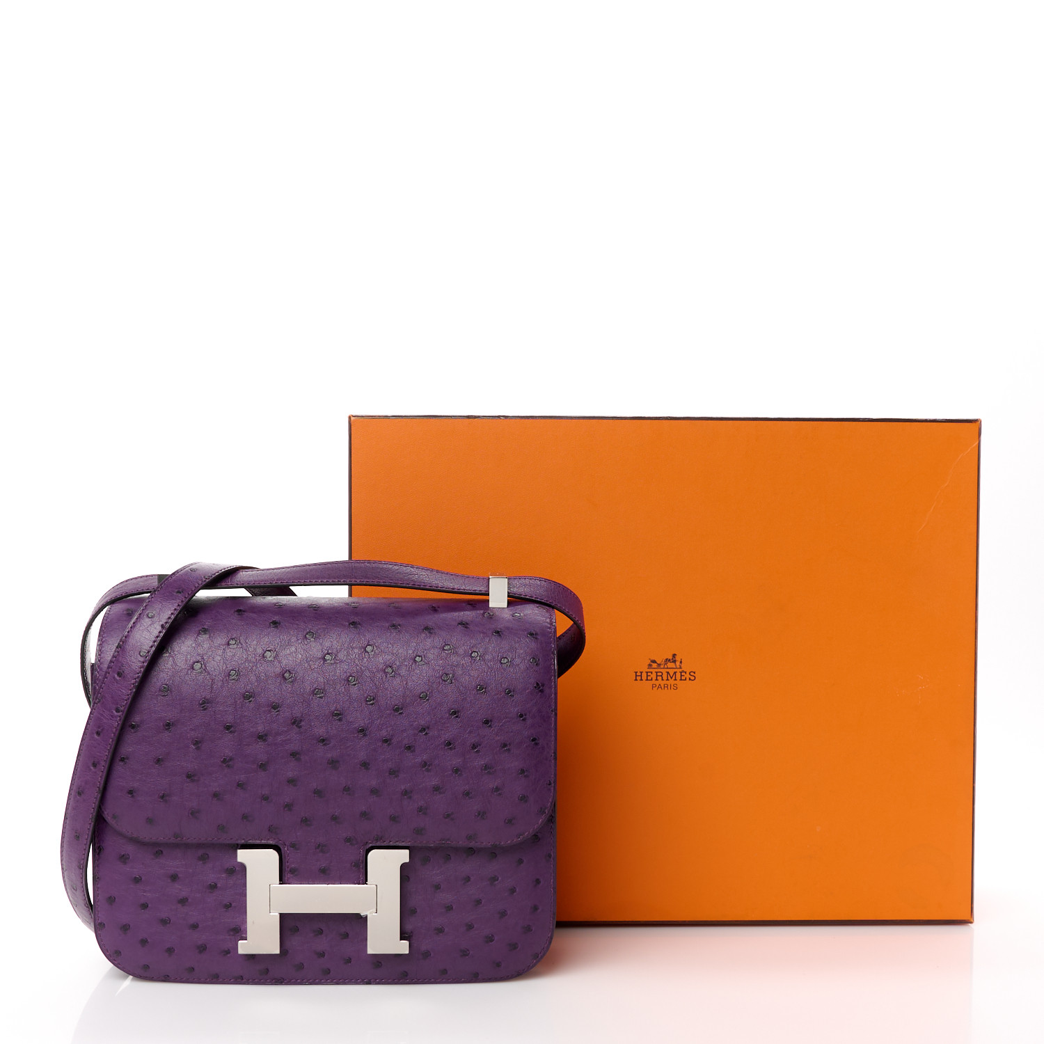 NMOstrich Constance 24 Violine