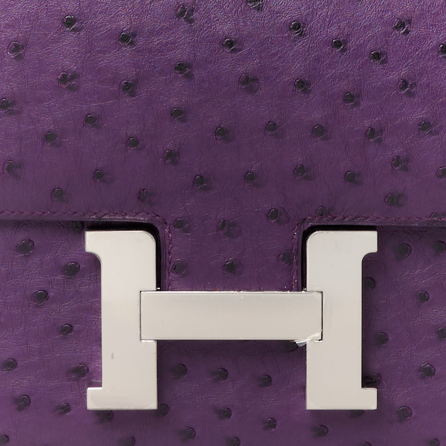 NMOstrich Constance 24 Violine