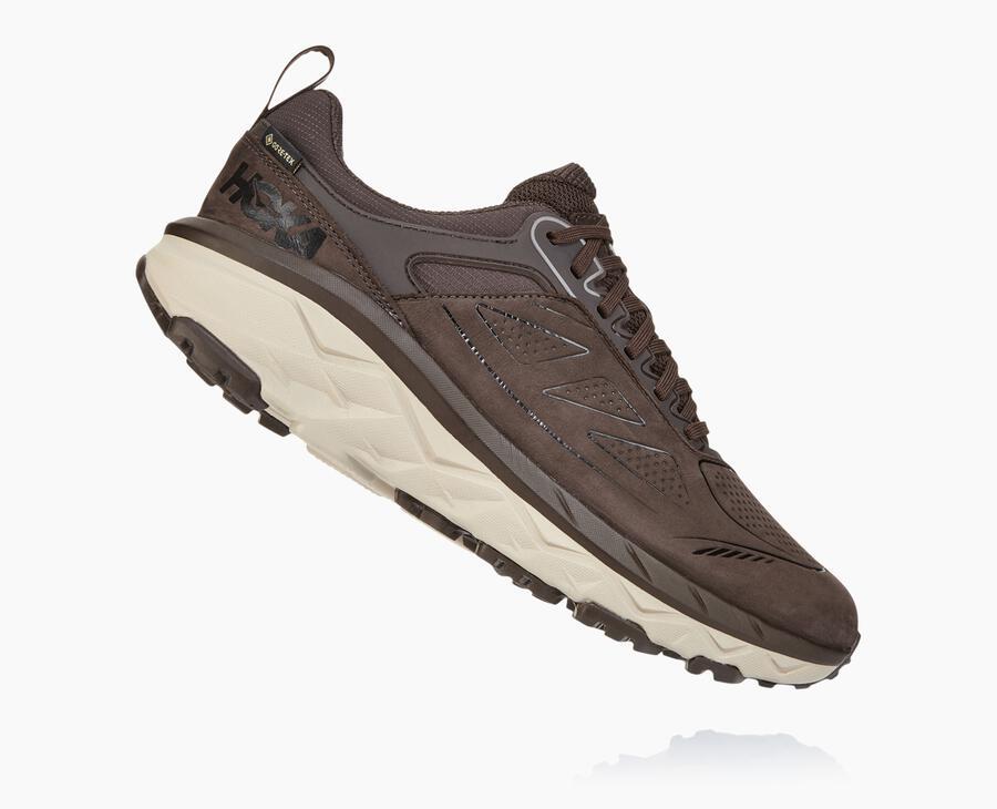 NMMen's Challenger Low GORE-TEX