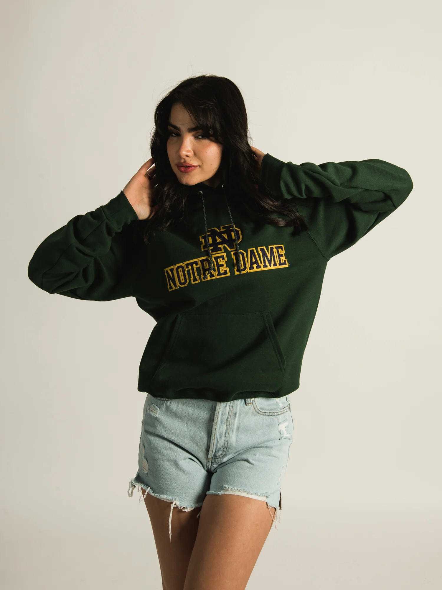 NMCHAMPION NOTRE DAME PULLOVER HOODIE