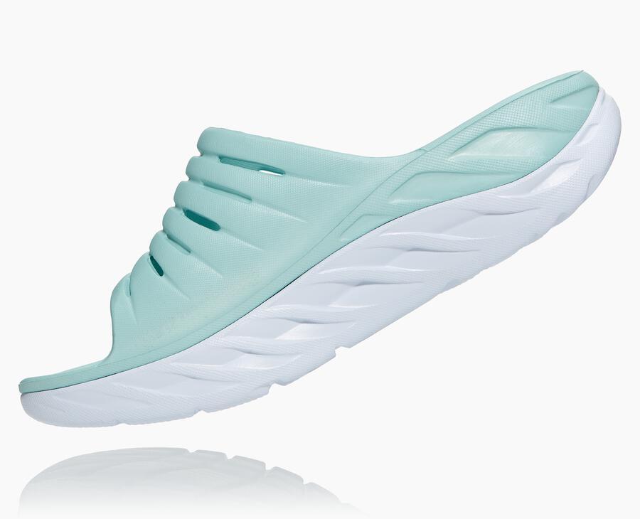 NMWomen's ORA Recovery Slide