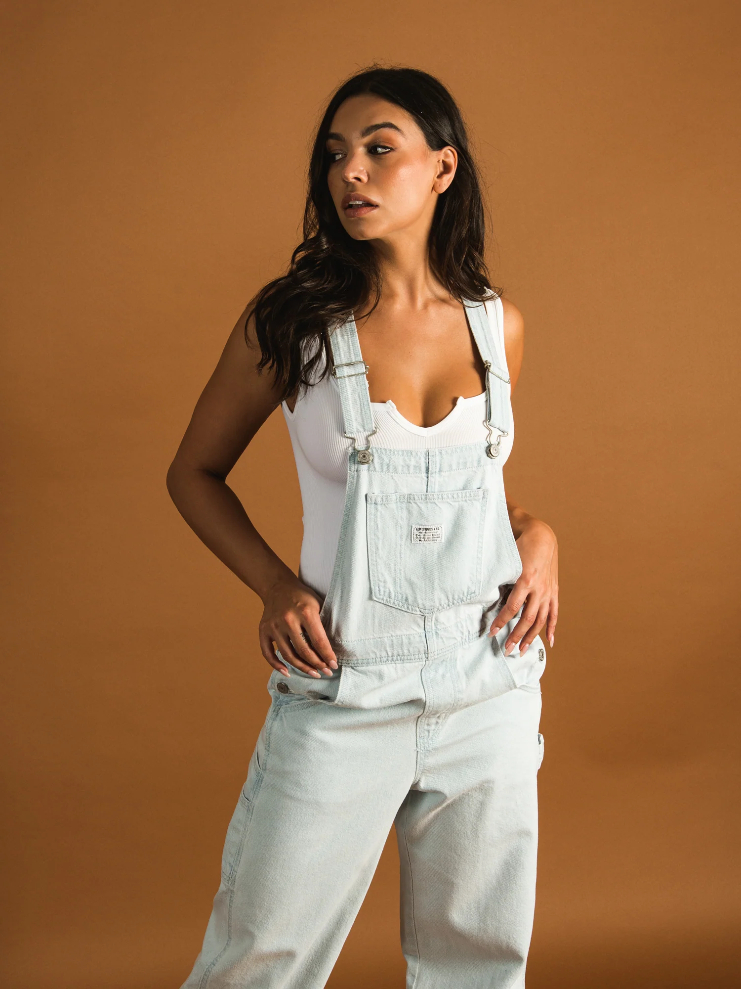 NMLEVIS CARPENTER OVERALL - HOME SWEET