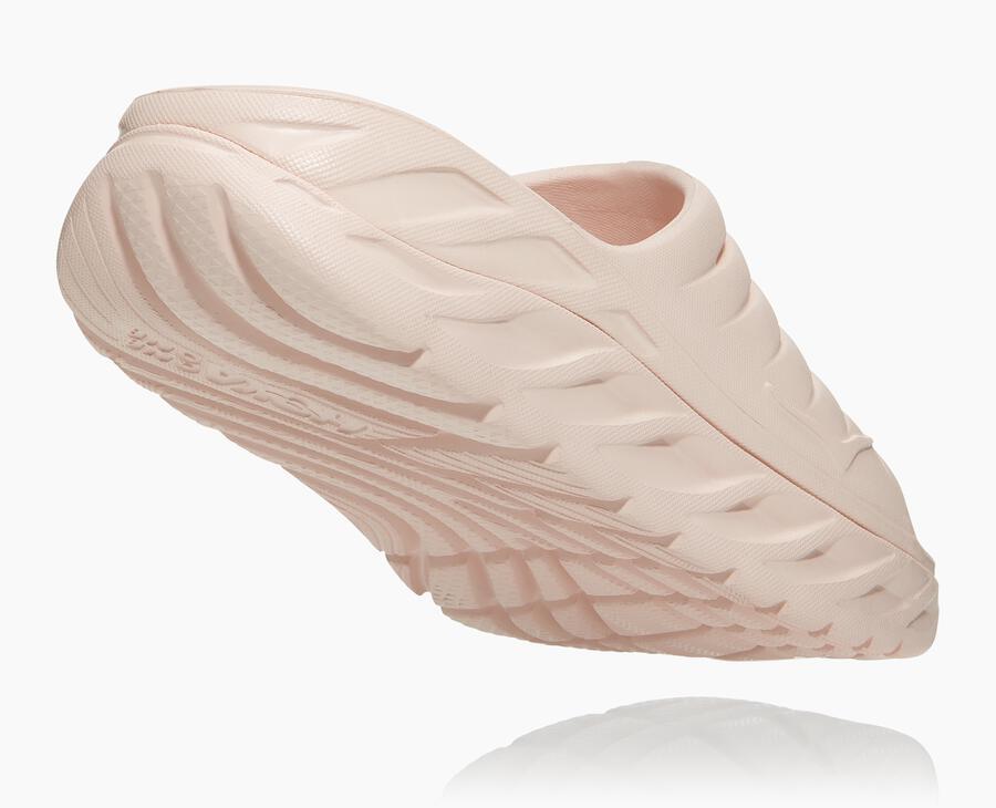 NMWomen's ORA Recovery Slide